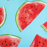 Watermelon Outdoor Accent Pillow Cover 16" x 16"