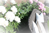 Outdoor Lumbar Pillow in Cream   12" x 22"